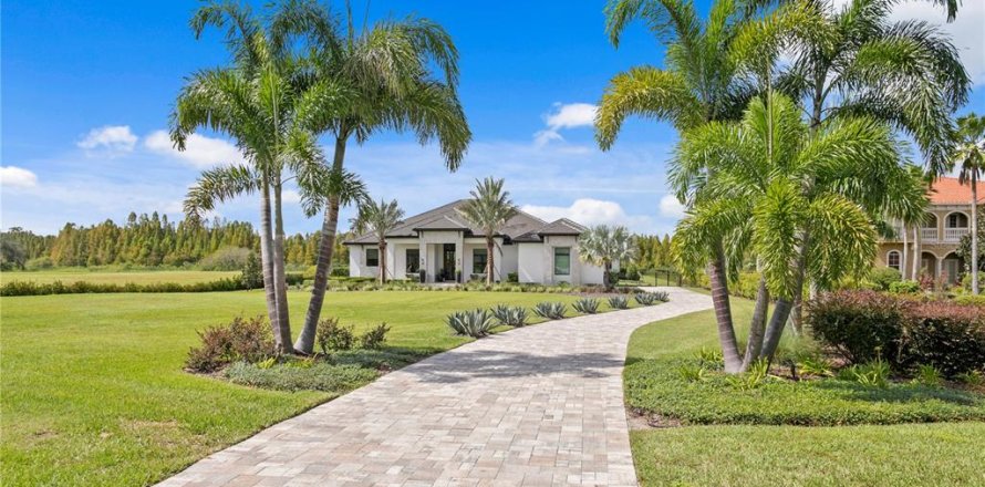 Villa ou maison à Thonotosassa, Floride 5 chambres, 502.51 m2 № 2213759