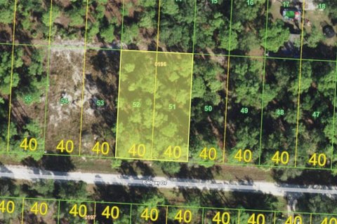 Land in Punta Gorda, Florida № 2347217