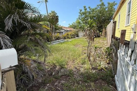 Land in Tampa, Florida № 2096056 - photo 2