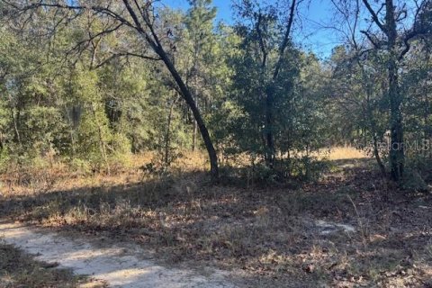 Land in Ocala, Florida № 2159254