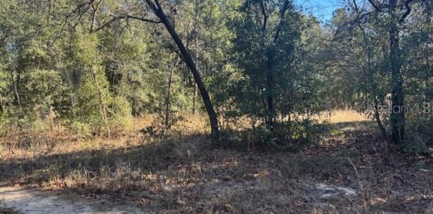 Land in Ocala, Florida № 2159254