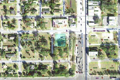 Land in Lakeland, Florida № 1296943 - photo 2