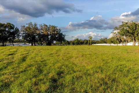 Land in Zephyrhills, Florida № 2144543 - photo 16
