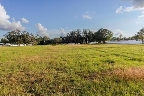 Land in Zephyrhills, Florida № 2144543 - photo 14