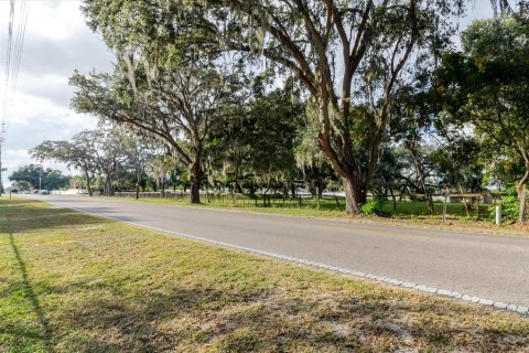 Land in Zephyrhills, Florida № 2144543 - photo 17