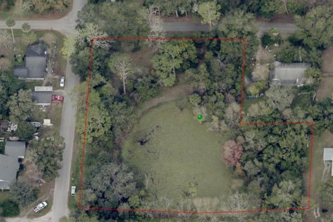 Land in Lake Helen, Florida № 2211470 - photo 2