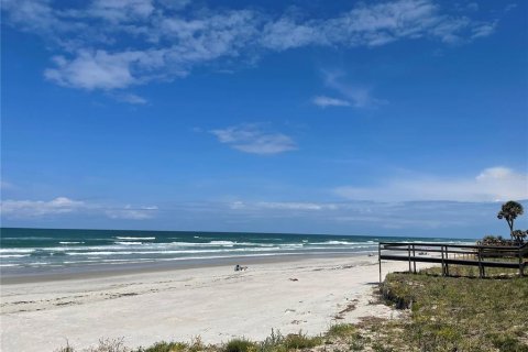 Land in Ponce Inlet, Florida № 231900 - photo 23