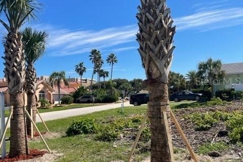 Land in Ponce Inlet, Florida № 231900 - photo 2
