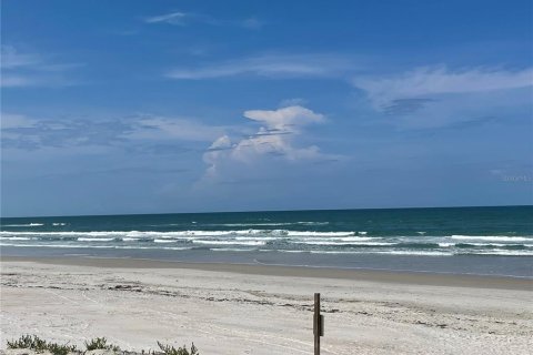 Land in Ponce Inlet, Florida № 231900 - photo 24