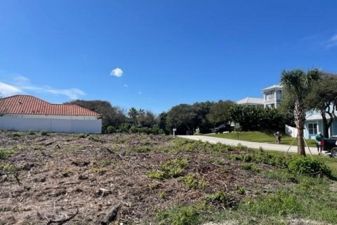 Land in Ponce Inlet, Florida № 231900 - photo 9