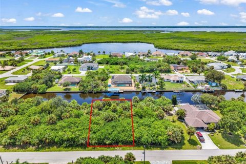 Land in Port Charlotte, Florida № 2362466
