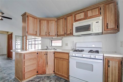 Apartamento en alquiler en Weeki Wachee, Florida, 1 dormitorio, 71.35 m2 № 1905393 - foto 17