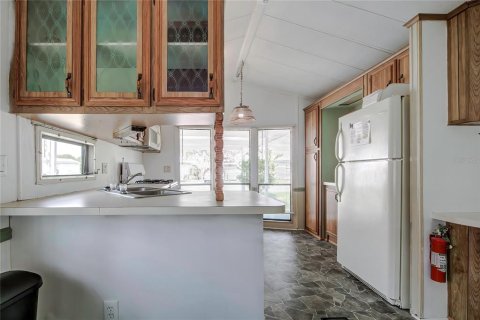 Apartamento en alquiler en Weeki Wachee, Florida, 1 dormitorio, 71.35 m2 № 1905393 - foto 15