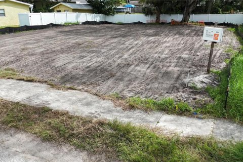Land in Oldsmar, Florida № 2097155 - photo 11