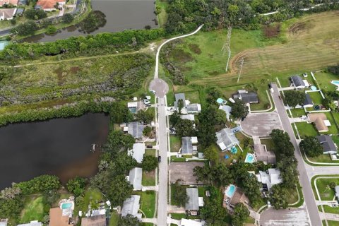 Land in Oldsmar, Florida № 2097155 - photo 9