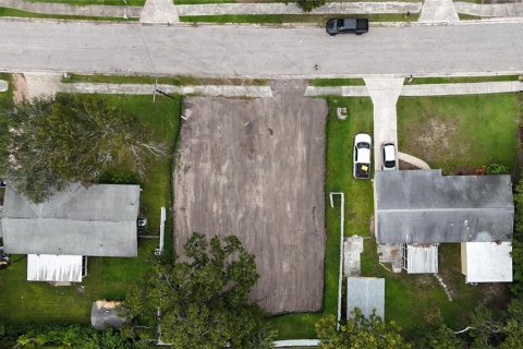Land in Oldsmar, Florida № 2097155 - photo 16