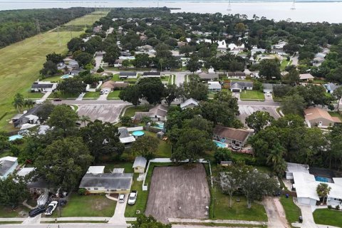 Land in Oldsmar, Florida № 2097155 - photo 2