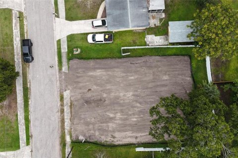Land in Oldsmar, Florida № 2097155 - photo 14
