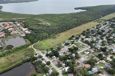Land in Oldsmar, Florida № 2097155 - photo 8