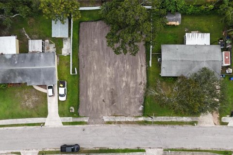 Land in Oldsmar, Florida № 2097155 - photo 17