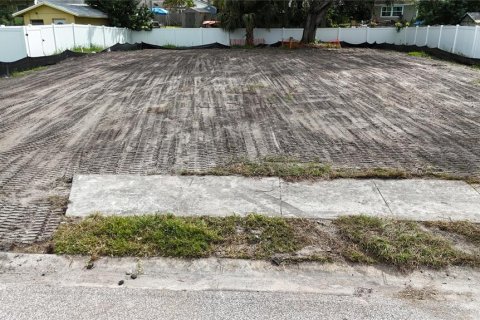 Land in Oldsmar, Florida № 2097155 - photo 12