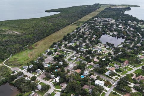 Land in Oldsmar, Florida № 2097155 - photo 7