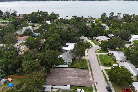 Land in Oldsmar, Florida № 2097155 - photo 20