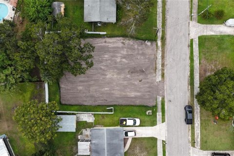 Land in Oldsmar, Florida № 2097155