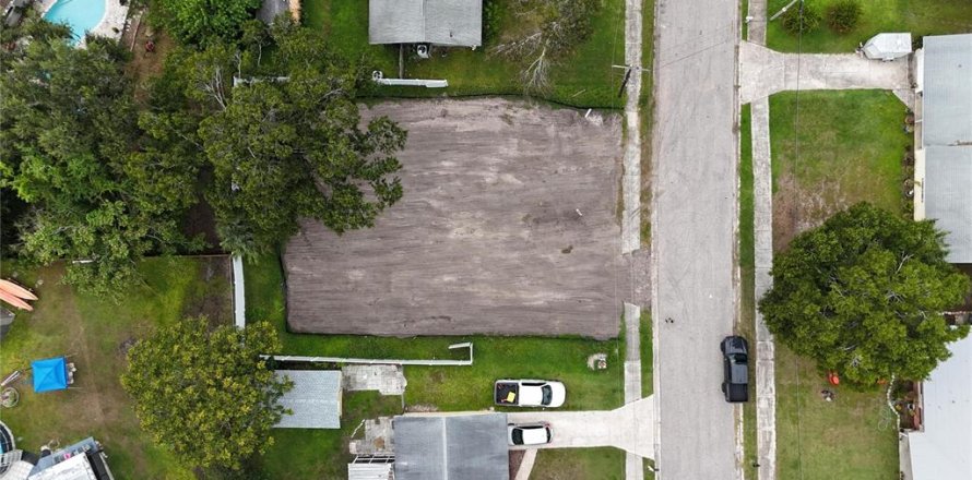 Land in Oldsmar, Florida № 2097155