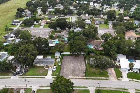 Land in Oldsmar, Florida № 2097155 - photo 18