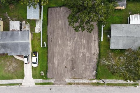 Land in Oldsmar, Florida № 2097155 - photo 15
