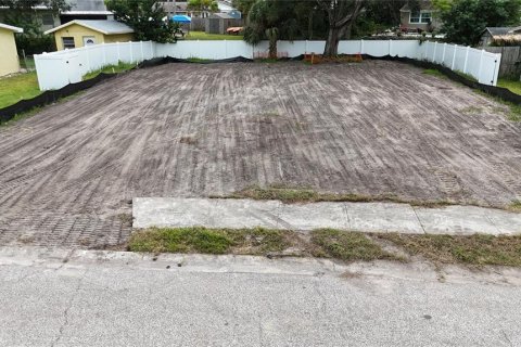 Land in Oldsmar, Florida № 2097155 - photo 22