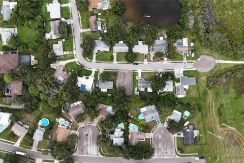 Land in Oldsmar, Florida № 2097155 - photo 5
