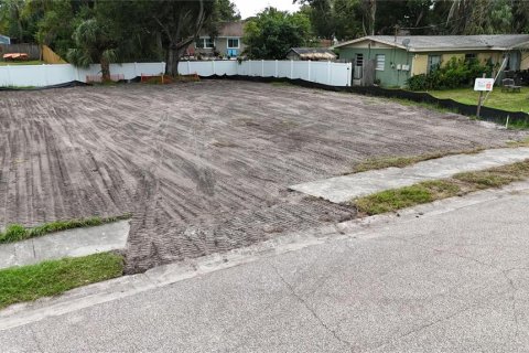Land in Oldsmar, Florida № 2097155 - photo 21