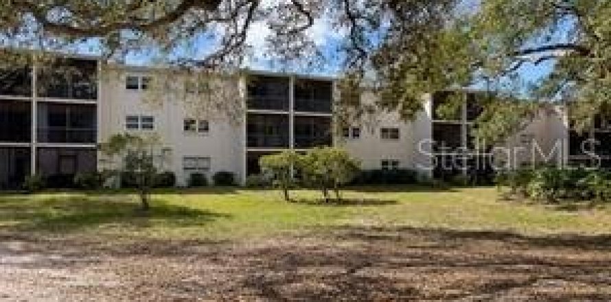 Condo à Dunedin, Floride, 2 chambres № 1616353