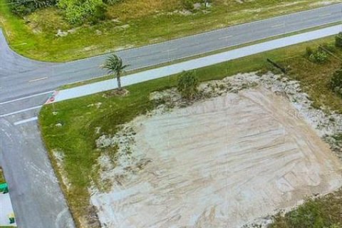 Land in Port Charlotte, Florida № 930633 - photo 1