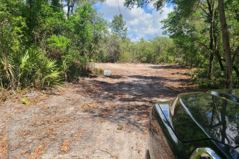 Land in Osteen, Florida № 1631513 - photo 1