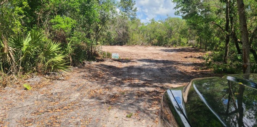 Land in Osteen, Florida № 1631513