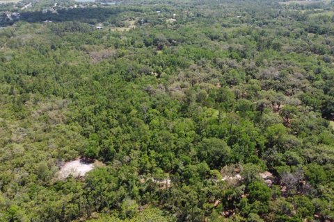 Land in Osteen, Florida № 1631513 - photo 2