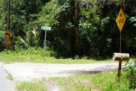 Land in Osteen, Florida № 1631513 - photo 3