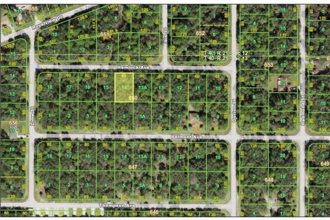 Land in Port Charlotte, Florida № 2159304 - photo 2