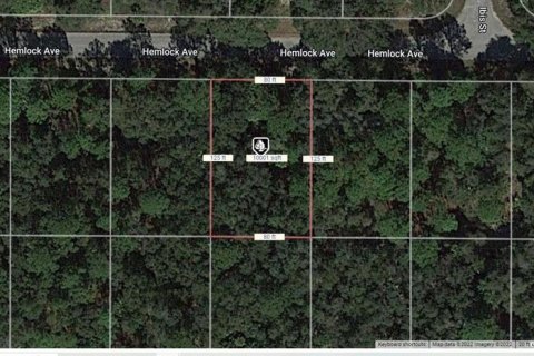 Land in Port Charlotte, Florida № 2159304