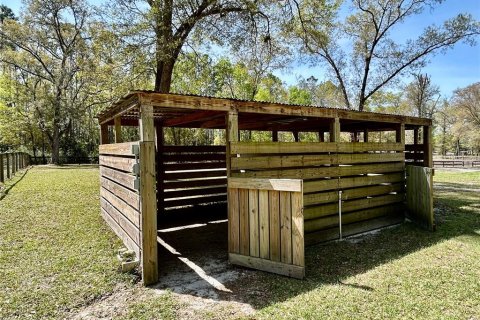 Casa en alquiler en Ocala, Florida, 3 habitaciones № 1690405 - foto 6