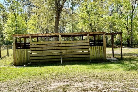 Casa en alquiler en Ocala, Florida, 3 habitaciones № 1690405 - foto 8