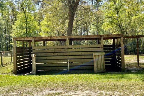 Casa en alquiler en Ocala, Florida, 3 habitaciones № 1690405 - foto 4