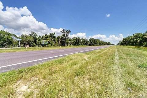 Terreno en venta en Crystal River, Florida № 1722038 - foto 3