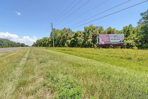 Terreno en venta en Crystal River, Florida № 1722038 - foto 6