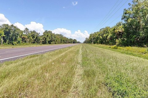 Terreno en venta en Crystal River, Florida № 1722038 - foto 5