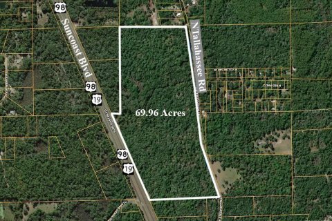 Terreno en venta en Crystal River, Florida № 1722038 - foto 1