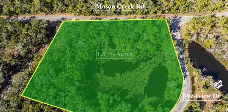 Land in Homosassa, Florida № 1542629